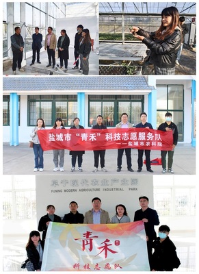 經(jīng)作室赴阜寧新溝鎮(zhèn)開展“青禾”科技志愿服務(wù)活動，助力鹽城農(nóng)業(yè)推廣服務(wù)