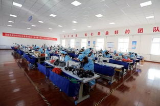 特色產(chǎn)業(yè)引領(lǐng)致富路——宜君縣與鹽城推廣服務(wù)的融合發(fā)展